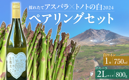 [大坪農園]≪2026年 先行予約≫ 「2L採れたてアスパラ」&「トノトの白 2024」ペアリングセット