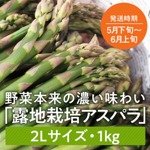 【5月下旬～6月上旬発送】旬の採れたて野菜「アスパラガス」