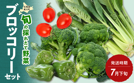 [7月下旬発送]旬の採れたて野菜「ブロッコリーセット」