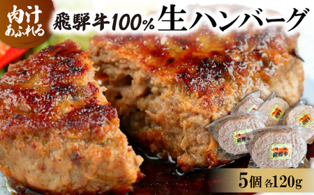飛騨牛100%生ハンバーグ 120g×5個[配送不可地域:離島]