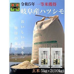 岐阜県養老町産 令和5年産 ハツシモSL 一等米 玄米 5kg×2(10kg)