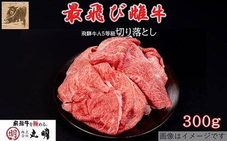 【最飛び雌牛】飛騨牛A5等級切り落とし　300g【配送不可地域：離島】【1520141】