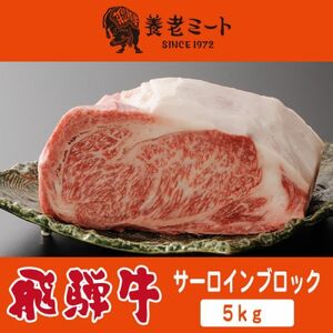飛騨牛 サーロインブロック 5kg[配送不可地域:離島]