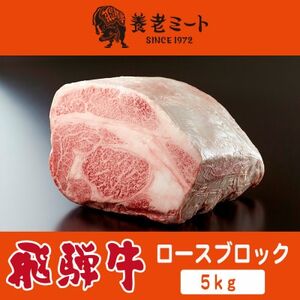 飛騨牛 ロースブロック 5kg[配送不可地域:離島]