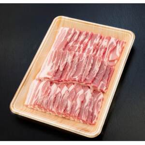 {VR[ o ēp 1kgyzsnFzy1634045z