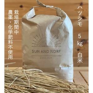 [令和7年産]初霜(源種) 白米5kg (栽培期間中農薬・化学肥料不使用)