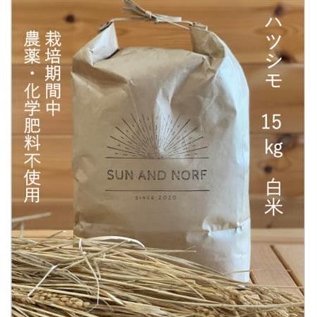 【令和7年産】初霜(源種)　白米15kg　(栽培期間中農薬・化学肥料不使用)【1721454】