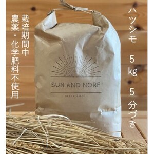 [令和7年産]初霜(源種)5分づき5kg (栽培期間中農薬・化学肥料不使用)