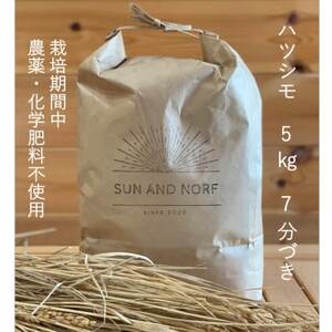 [令和7年産]初霜(源種) 7分づき5kg (栽培期間中農薬・化学肥料不使用)