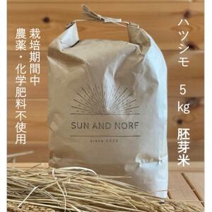 [令和7年産]初霜(源種)胚芽米5kg (栽培期間中農薬・化学肥料不使用)