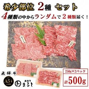 [飛騨牛]お勧め希少部位2種セット 250g×2[配送不可地域:離島]