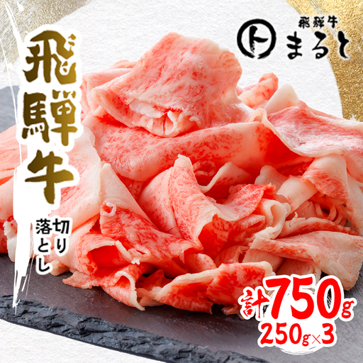 【飛騨牛】切り落とし250g×3　合計750g【配送不可地域：離島】【1731551】