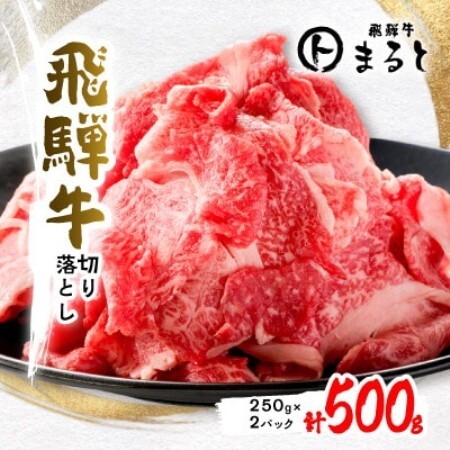 [毎月定期便]飛騨牛 切り落とし250g×2パック すきやき・しゃぶしゃぶ・牛丼など全6回[配送不可地域:離島]