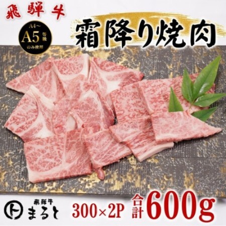 飛騨牛霜降り焼き肉 300g×2(合計600g)【配送不可地域：離島】【1735699】