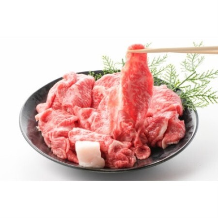 [毎月定期便][訳あり]飛騨牛5等級 切り落とし用途いろいろ 500g全3回[配送不可地域:離島]