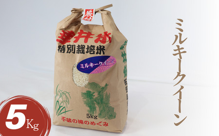 ߘa7NY yVāz ʍ͔| 䒬Y ~L[NC[ 5kg b    R    CX Yn Mtg p v[g 򕌌Y