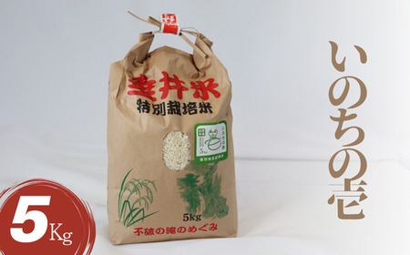 ߘa7NY yVāz ʍ͔| 䒬Y ̂̈ 5kg b    R    CX Yn Mtg p v[g 򕌌Y