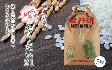 ≪令和7年産≫[特別栽培米]垂井町産 ゆうだい21(精米) 5kg|お米 白米 ご飯 ライス 産地直送 ギフト 贈答用 プレゼント 岐阜県産