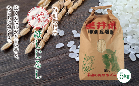 ≪令和7年産≫[特別栽培米]垂井町産 ほしじるし(精米) 5kg|お米 白米 ご飯 ライス 産地直送 ギフト 贈答用 プレゼント 岐阜県産