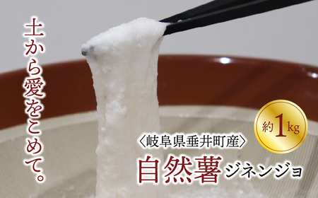 y򕌌䒬YzRiWlWj 1kg ϔ