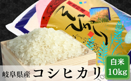 ߘa7NYyVāz  RVqJ 10kg