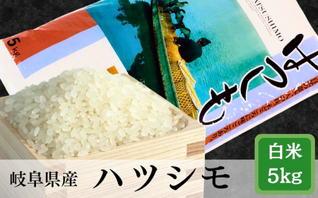 ≪令和6年産≫ 岐阜 ハツシモ 約5kg