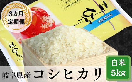 ≪令和6年産≫ [3か月定期便] 岐阜 コシヒカリ (約5kg×3回)