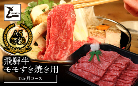 A5ˋĂp12R[X 2025/9/19`