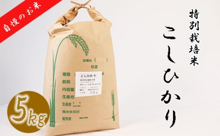 [特別栽培米]垂井町産コシヒカリ5kg