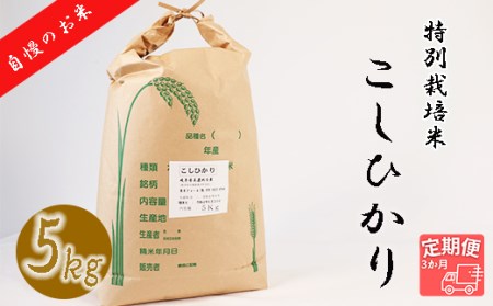 [3か月定期便][特別栽培米]垂井町産コシヒカリ(5kg×3回)