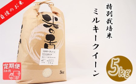 [3か月定期便][特別栽培米]垂井町産ミルキークイーン(5kg×3回)