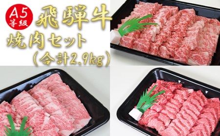 A5飛騨牛焼き肉セット(合計2.9kg)