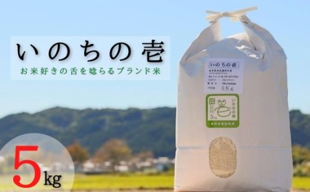 [特別栽培米]垂井町産いのちの壱5kg