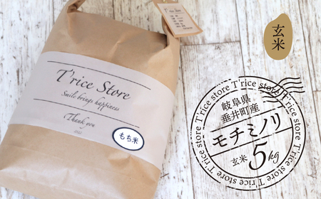 yʌzsߘa7NYtsVāt T rice Store 򕌌Y `~miāj 5kg | 䒬Y   ݕ  i S S s[^[ p 蕨 Mtg v[g 