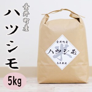 ≪令和6年産≫ 岐阜県産ハツシモ5kg