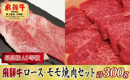 [化粧箱入り・最高級A5等級]飛騨牛ロース・モモ焼肉セット計300g