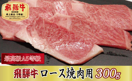 [最高級A5等級]飛騨牛ロース焼肉用300g