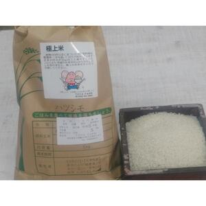 輪之内町産　厳選米ハツシモ　白米5kg【1482493】