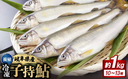 岐阜の鮎 冷凍子持鮎(約1kg:10〜13尾)[配送不可地域:離島]