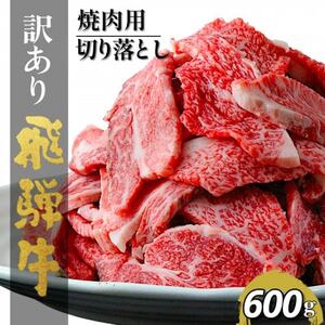 [毎月定期便][訳あり]飛騨牛切り落し焼肉用600g全3回[配送不可地域:離島]