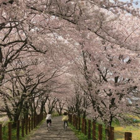 [返礼品なし]岐阜県輪之内町ふるさと応援寄附(一口:1,000円)