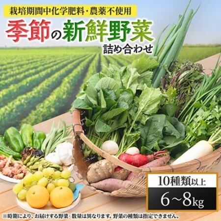 [栽培期間中化学肥料・農薬不使用なので安心・安全] 季節の新鮮野菜の詰め合わせ[配送不可地域:離島]