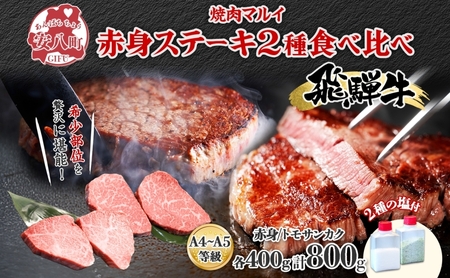 ˋ Xe[L 2 Hה Ԑg gTJN v800g e400g   a uh  r[t A4N A5N Y  J  O ē BBQ Mtg 蕨 Ɨp 