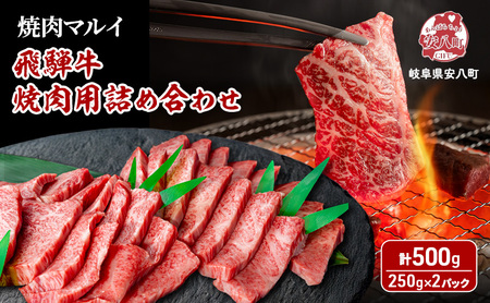 飛騨牛 焼肉用 約500g(約250g×2パック) A4〜A5等級使用 焼肉 肉 牛 牛肉 お肉 国産 和牛 国産牛 BBQ お取り寄せ 冷蔵 送料無料 焼肉マルイ 岐阜県 安八町