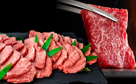 飛騨牛 赤身メイン 焼肉用 約500g(約250g×2パック)A4〜A5等級使用 焼肉 肉 牛 牛肉 お肉 国産 和牛 国産牛 赤身 BBQ お取り寄せ 冷蔵 送料無料 焼肉マルイ 岐阜県 安八町