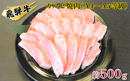 飛騨牛カルビ焼肉(A4〜A5等級)約500g(約250g×2パック)