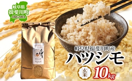 自然尊重で育てた安全な美味しい自然米ハツシモ(玄米)10kg お米 ごはん ご飯 カレー 丼物 お弁当 すし飯 冷めても美味しい はつしも ななしん米 岐阜県 揖斐川町