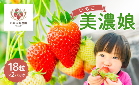 いちご 美濃娘 みのむすめ 18粒×2パック イチゴ 苺 フルーツ 旬 甘い ジューシー 生 美味しい ストロベリー 果物 ギフト 国産 産地直送 農家直送 送料無料 いび大野農園 岐阜県 揖斐川町