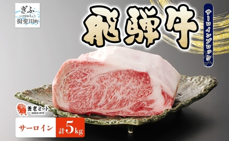 飛騨牛 サーロイン ブロック 5kg 塊肉 和牛 黒毛和牛 牛肉 肉 ステーキ ローストビーフ 厚切りステーキ 焼肉 大容量 国産 国産牛 グルメ ギフト お取り寄せ 贈り物 送料無料 冷凍 養老ミート 岐阜県 揖斐川町