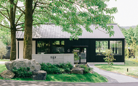 TEF TANIGUMIiCafe TEFjp30,000~ `Pbg h s x  tbV  qt ݕʑ VR R VFt̐H JtFp`Pbg